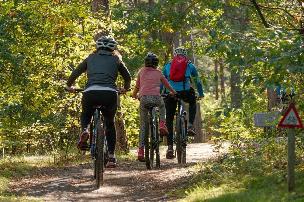 Ajustez votre vélo et apprenez aux enfants à rouler : une aventure plaisante et sans douleur!